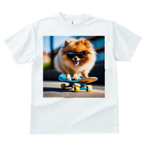 TVc fB[X t@  t  vg JWA 킢 lԗp tBbglX _X XP[g{[h |jA TOX