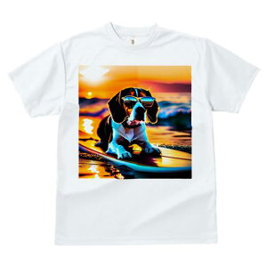 TVc fB[X t@  t  vg JWA 킢 lԗp tBbglX _X T[tB r[O C [Ă TOX