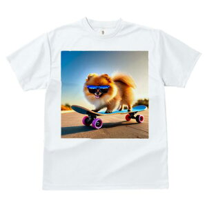 TVc fB[X t@  t  vg JWA 킢 lԗp tBbglX _X XP[g{[h |jA TOX