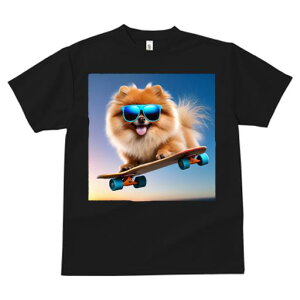 TVc fB[X t@  t  vg JWA 킢 lԗp tBbglX _X TOX |jA XP[g{[h