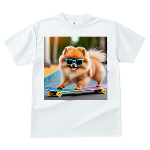 TVc fB[X t@  t  vg JWA 킢 lԗp tBbglX _X XP[g{[h |jA TOX