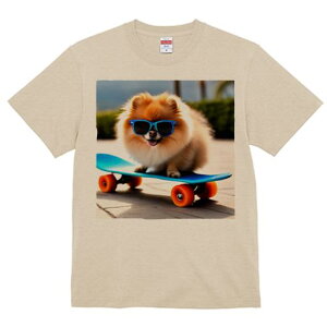 TVc Y LbY t@  t  vg JWA 킢 lԗp tBbglX _X XP[g{[h |jA TOX