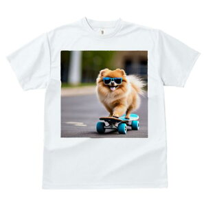 TVc fB[X t@  t  vg JWA 킢 lԗp tBbglX _X XP[g{[h |jA TOX