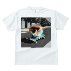 TVc fB[X t@  t  vg JWA 킢 lԗp tBbglX _X XP[g{[h |jA TOX