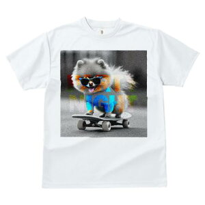 TVc fB[X t@  t  vg JWA 킢 lԗp tBbglX _X XP[g{[h |jA TOX