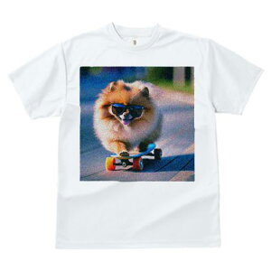 TVc fB[X t@  t  vg JWA 킢 lԗp tBbglX _X XP[g{[h |jA TOX