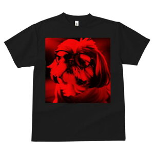 TVc Y LbY t@  t  vg JWA 킢 lԗp tBbglX _X Kl V[Y[