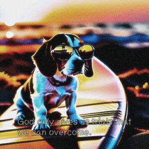 TOX r[O T[t{[h [Ă NbVJo[ 45×45cm Aj}   NbV{̕t ` t@