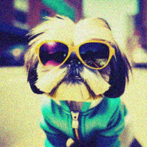 TOX V[Y[ p[J[ NbVJo[ 45×45cm Aj}   NbV{̕t ` t@