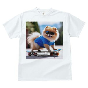 TVc Y LbY t@  t  vg JWA 킢 lԗp tBbglX _X TOX |jA XP[g{[h