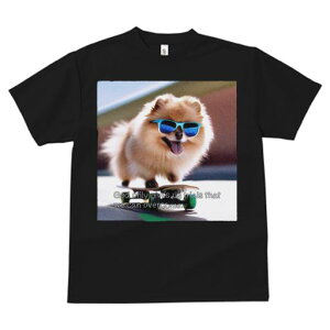 TVc fB[X t@  t  vg JWA 킢 lԗp tBbglX _X TOX |jA XP[g{[h