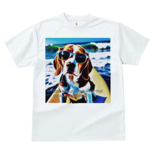 TVc fB[X t@  t  vg JWA 킢 lԗp tBbglX _X TOX r[O T[tB