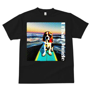 TVc fB[X t@  t  vg JWA 킢 lԗp tBbglX _X TOX r[O T[t{[h