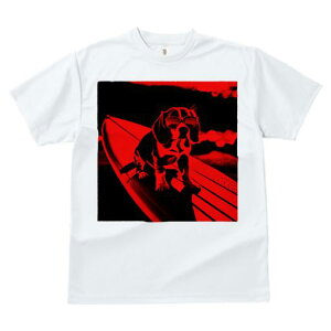 TVc fB[X t@  t  vg JWA 킢 lԗp tBbglX _X T[tB r[O TOX