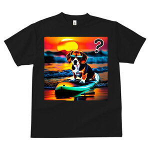 TVc fB[X t@  t  vg JWA 킢 lԗp tBbglX _X T[tB r[O C [