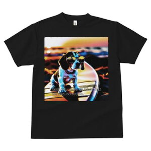 TVc fB[X t@  t  vg JWA 킢 lԗp tBbglX _X TOX r[O T[t{[h [Ă