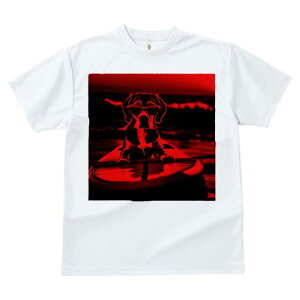 TVc fB[X t@  t  vg JWA 킢 lԗp tBbglX _X T[tB r[O C TOX