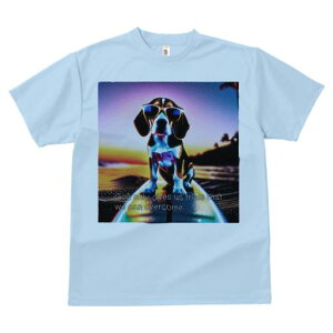 TVc Y LbY t@  t  vg JWA 킢 lԗp tBbglX _X T[tB r[O C [Ă TOX