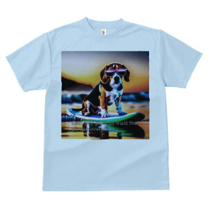 TVc Y LbY t@  t  vg JWA 킢 lԗp tBbglX _X T[tB r[O C TOX