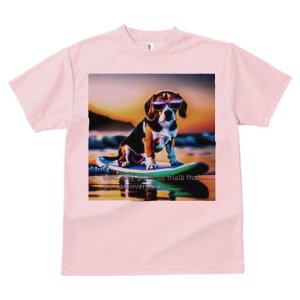 TVc Y LbY t@  t  vg JWA 킢 lԗp tBbglX _X T[tB r[O C TOX