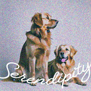 �S�[���f�����g���o�[ �N�b�V�����J�o�[ 45×45cm �A�j�}���� ������� ���� �N�b�V�����{�̕t�� �����` ���t�@��