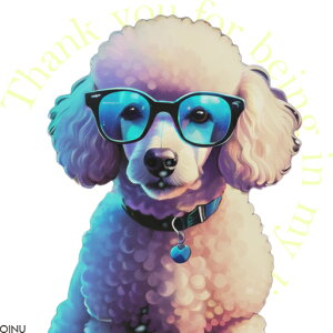 Kl v[h  NbVJo[ 45×45cm Aj}   NbV{̕t ` t@