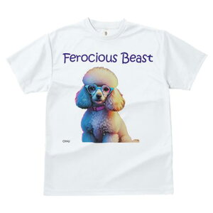 TVc Y LbY t@  t  vg JWA 킢 lԗp tBbglX _X Kl v[h 