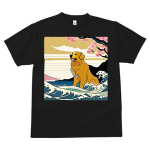 TVc fB[X t@  t  vg JWA 킢 lԗp tBbglX _X g S[fgo[ C  {