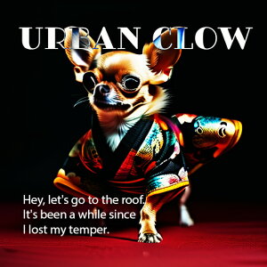  ` a t@bV NbVJo[ 45×45cm Aj}   NbV{̕t ` t@