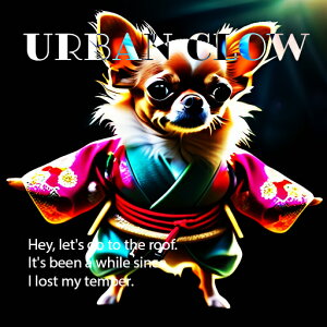 A[o ` O[ t@bV gh NbVJo[ 45×45cm Aj}   NbV{̕t ` t@