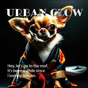 TVc ` t@bV JWA Xg[gEFA NbVJo[ 45×45cm Aj}   NbV{̕t ` t@