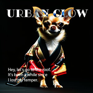  ` a N[  NbVJo[ 45×45cm Aj}  NbV{̕t ` t@