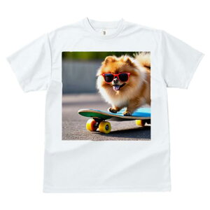 TVc fB[X t@  t  vg JWA 킢 lԗp tBbglX _X XP[g{[h |jA TOX