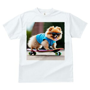 TVc fB[X t@  t  vg JWA 킢 lԗp tBbglX _X XP[g{[h |jA TOX TVc