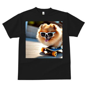 TVc fB[X t@  t  vg JWA 킢 lԗp tBbglX _X TOX |jA XP[g{[h