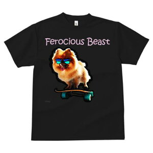 TVc fB[X t@  t  vg JWA 킢 lԗp tBbglX _X XP[g{[h |jA TOX