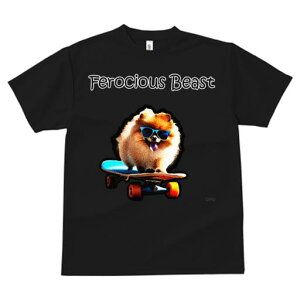 TVc fB[X t@  t  vg JWA 킢 lԗp tBbglX _X XP[g{[h |jA TOX