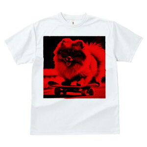 TVc fB[X t@  t  vg JWA 킢 lԗp tBbglX _X XP[g{[h |jA TOX