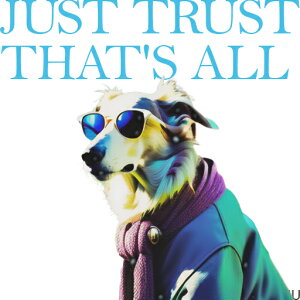 TOX {[_[R[ XJ[t WPbg NbVJo[ 45×45cm Aj}   NbV{̕t ` t@