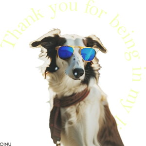 TOX {]C XJ[t NbVJo[ 45×45cm Aj}   NbV{̕t ` t@