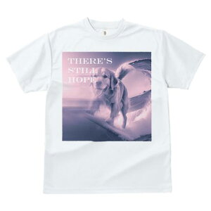 TVc fB[X t@  t  vg JWA 킢 lԗp tBbglX _X g S[fgo[ T[tB