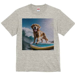 TVc Y LbY t@  t  vg JWA 킢 lԗp tBbglX _X g S[fgo[ T[tB