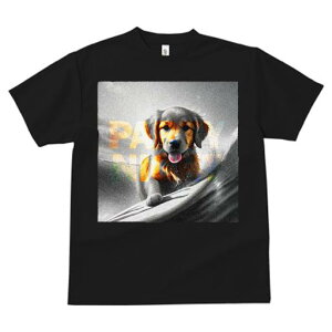 TVc fB[X t@  t  vg JWA 킢 lԗp tBbglX _X T[tB S[fgo[