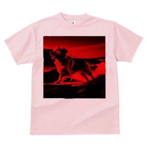 TVc Y LbY t@  t  vg JWA 킢 lԗp tBbglX _X T[tB S[fgo[ C