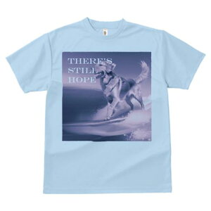 TVc Y LbY t@  t  vg JWA 킢 lԗp tBbglX _X T[tB S[fgo[ g