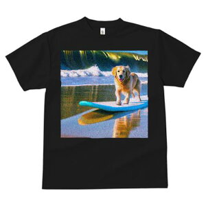 TVc fB[X t@  t  vg JWA 킢 lԗp tBbglX _X g S[fgo[ C T[t{[h r[`