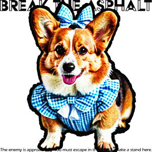 { R[M[  NbVJo[ 45×45cm Aj}   NbV{̕t ` t@