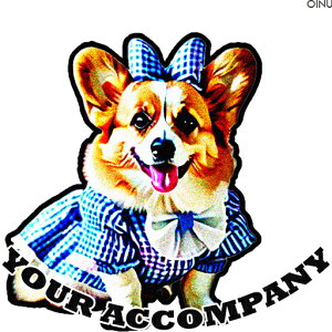  R[M[ { NbVJo[ 45×45cm Aj}   NbV{̕t ` t@