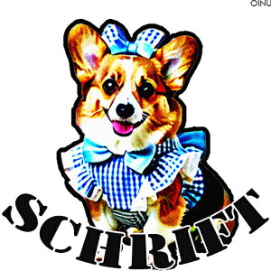  R[M[ { NbVJo[ 45×45cm Aj}   NbV{̕t ` t@