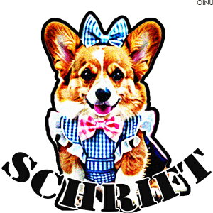 { R[M[  NbVJo[ 45×45cm Aj}   NbV{̕t ` t@